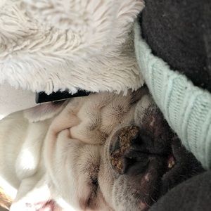 Meet your Posher, Stacey